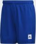Adidas Performance Zwembroek SHORT LENGTH SOLID (1 stuk) - Thumbnail 5
