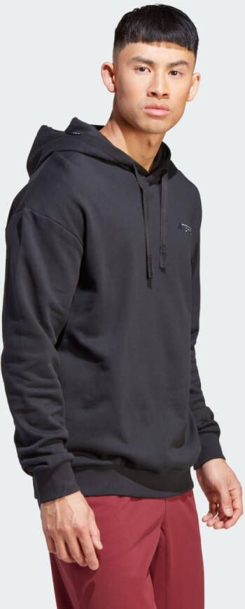 Adidas TERREX Organizer Logo Hoodie