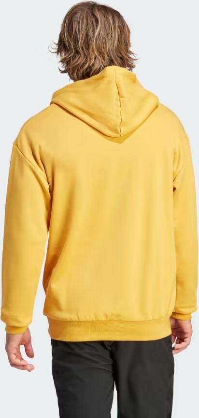 Adidas TERREX Organizer Logo Hoodie