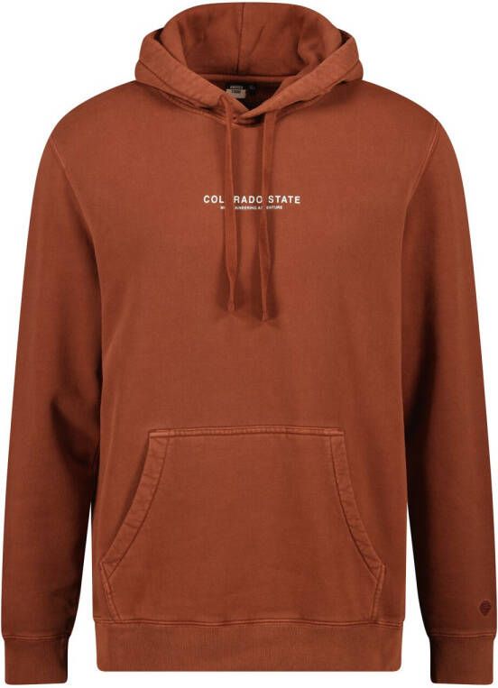 America Today hoodie met printopdruk new brown