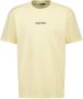 America Today regular fit T-shirt met printopdruk light yellow - Thumbnail 2