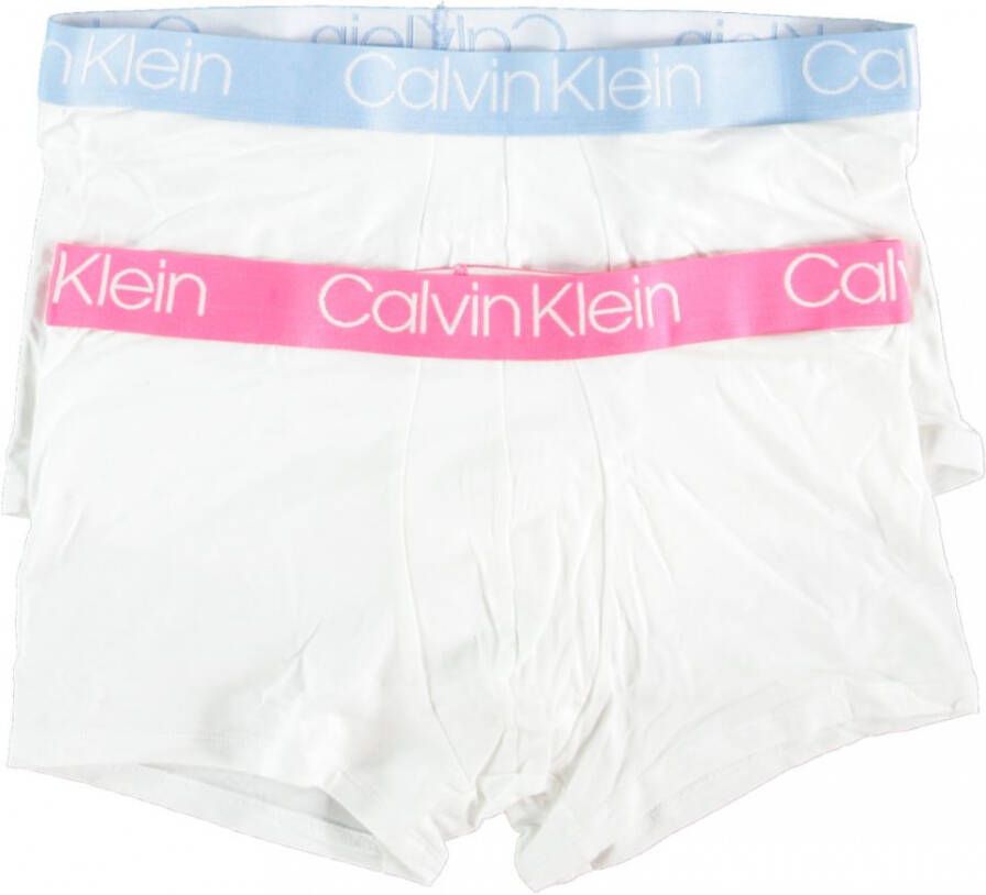 Calvin Klein Underwear TRUNK 2PK