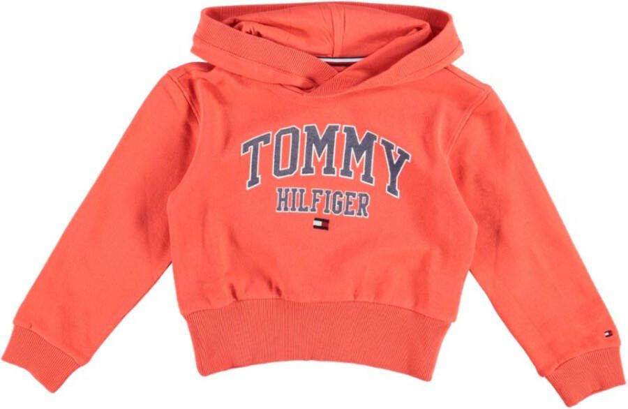 Tommy Hilfiger Hoodie ESSENTIAL VARSITY H