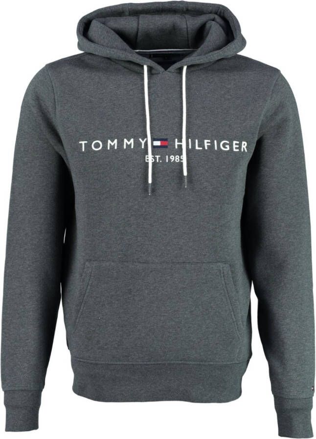 Tommy Hilfiger Hoodie TOMMY LOGO HOODY