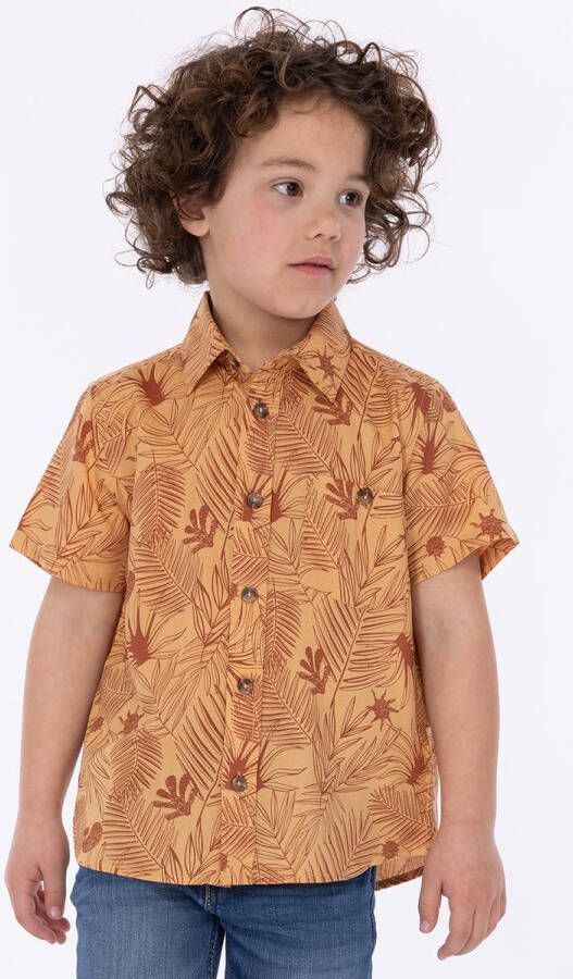 Bristol merk Bristol Kleding Multicolor