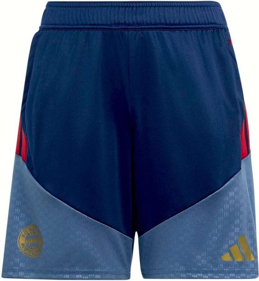 Adidas Fc Bayern Munchen Training Shorts Kids