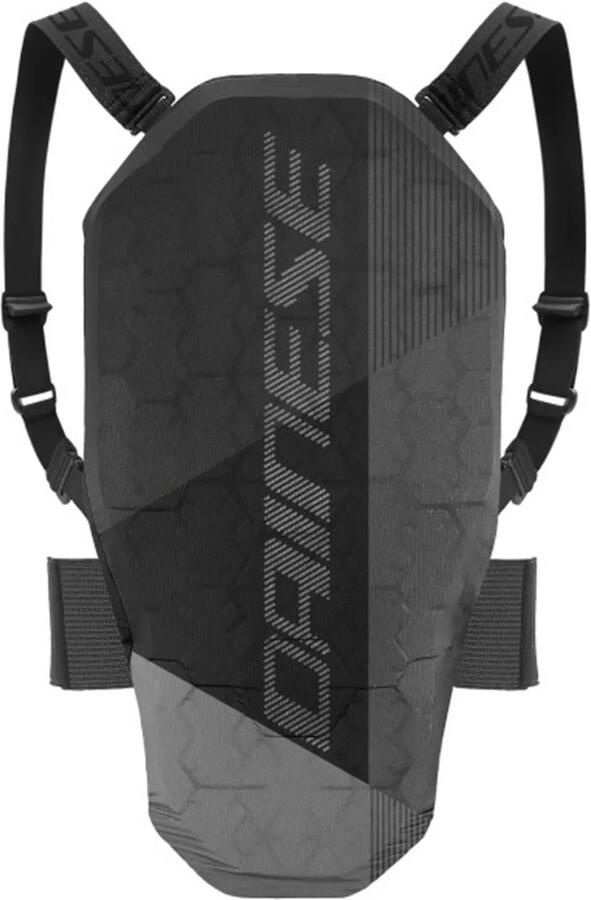 Dainese Flexagon Back Protector 2
