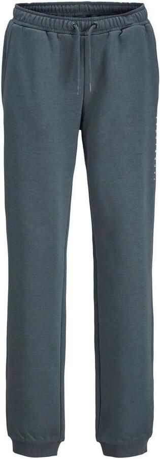 JACK & JONES JUNIOR slim sweatpants grijsblauw - Foto 3