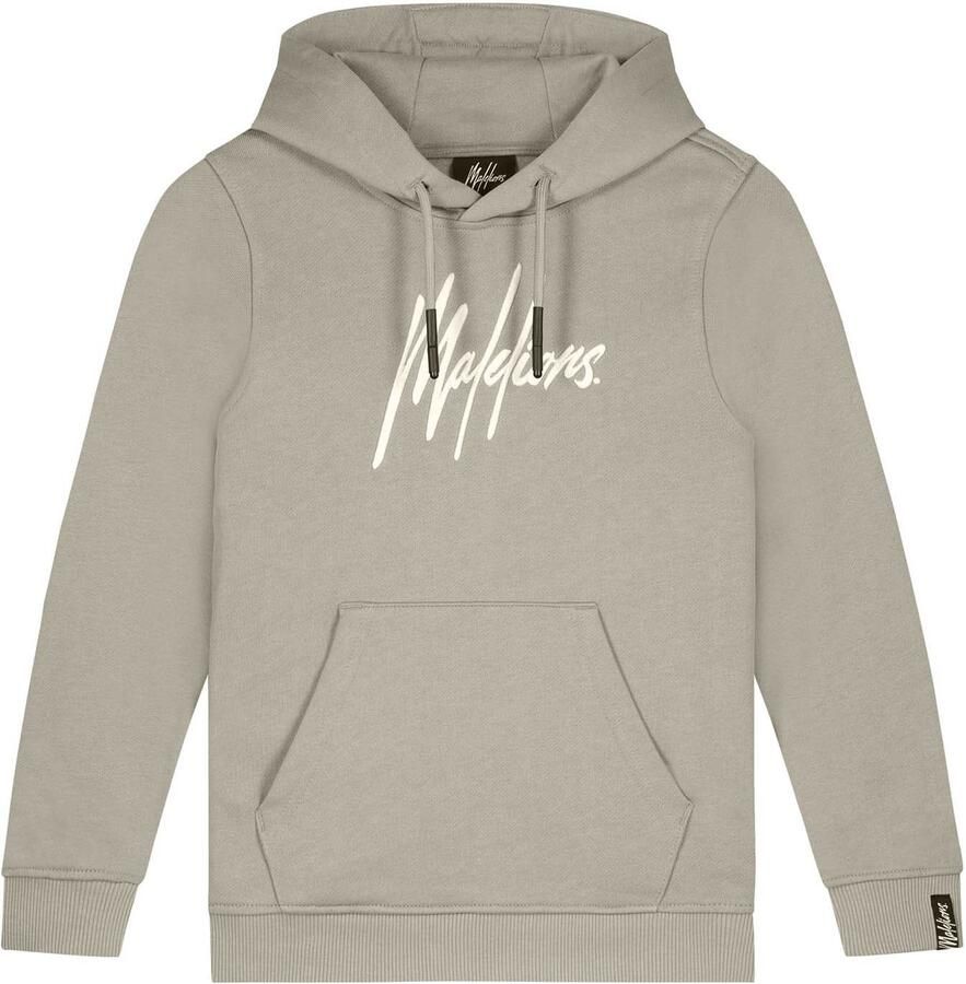 lions Junior Essentials Hoodie