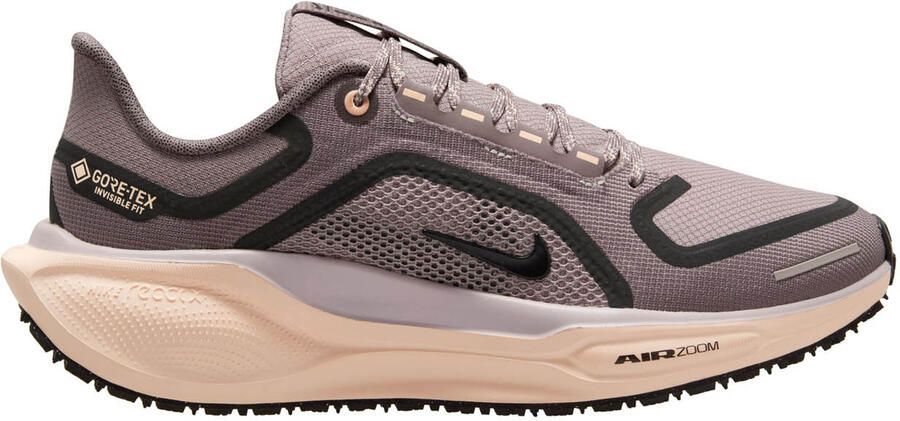 Nike Pegasus 41 Gore-tex