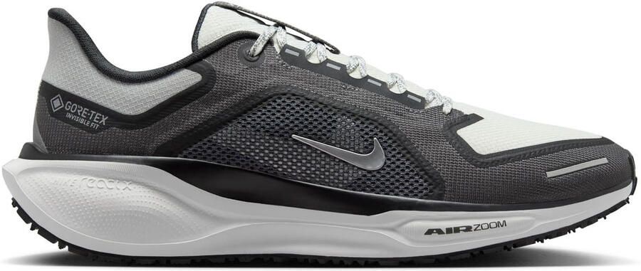 Nike Pegasus 41 Gore-tex