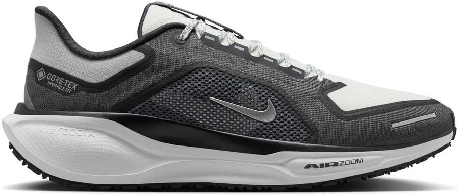 Nike Pegasus 41 Gore-tex