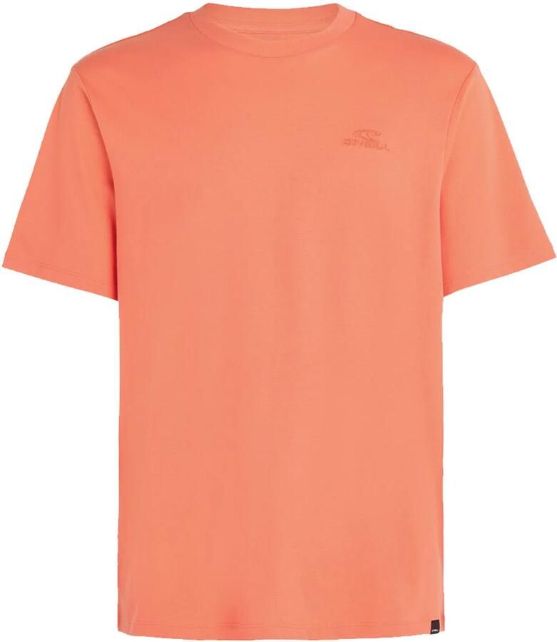 O'Neill T-shirt SMALL LOGO T-SHIRT