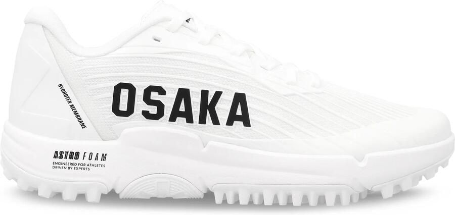 Osaka Ryu