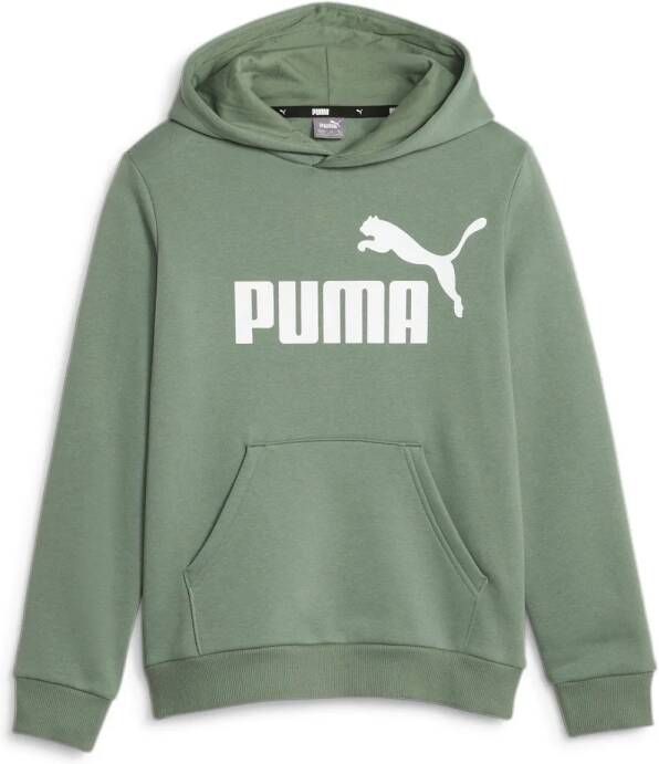 Puma Essentials Hoodie Met Groot Logo Jongeren