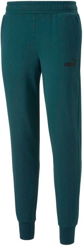 Puma Essentials Logo Sweatpants