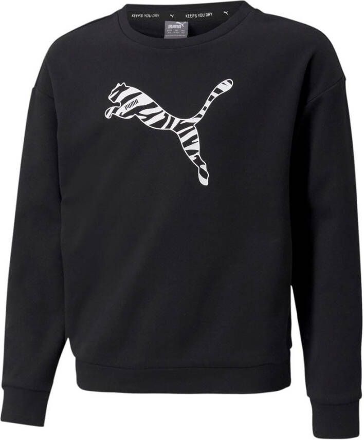 PUMA Sweatshirt MODERN SPORTS CREW