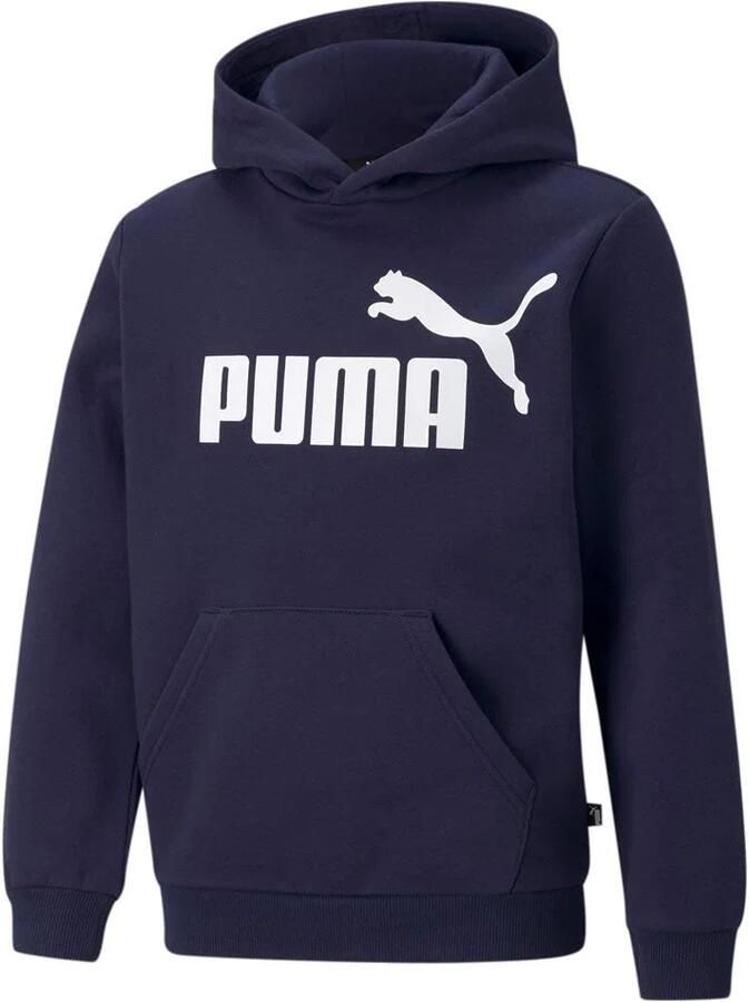 Puma Essentials Big Logo Hoodie Fleece Junior