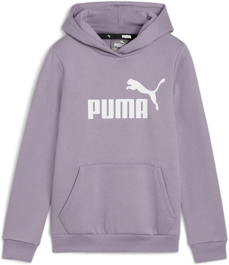 Puma Essentials Logo Hoodie Kids