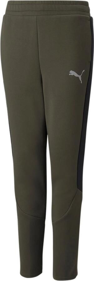 Puma Evostripe Pants Junior