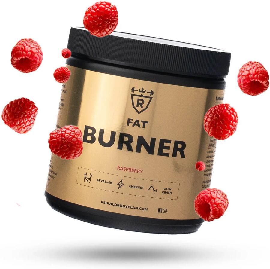 Rebuild Body Plan Fatburner Raspberry