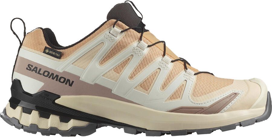 Salomon Xa Pro 3d V9 Gtx Dames