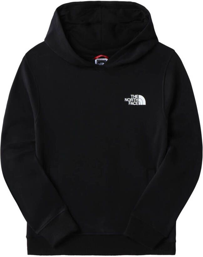 The north face Graphic Hoodie