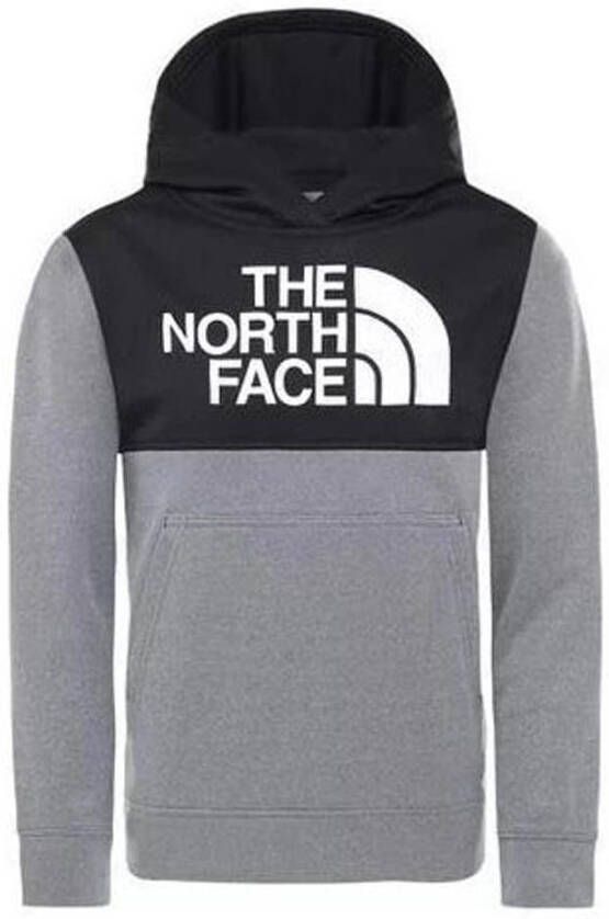 The north face Surgent Pullover Block Hoody Junior