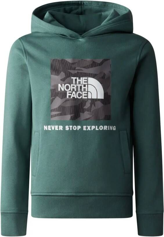 The north face Teens Box Hoodie