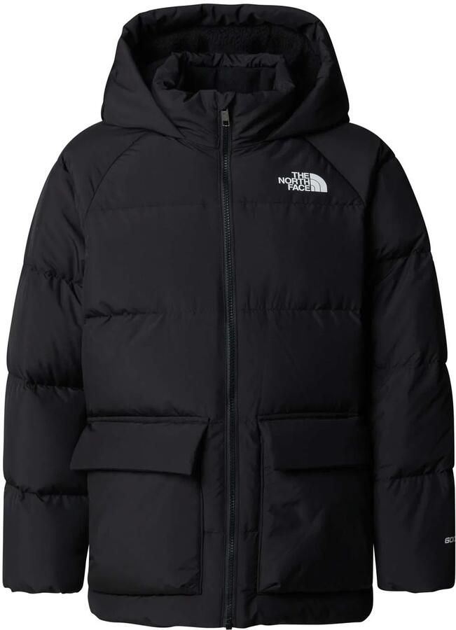 The north face Fleece Lined Parka