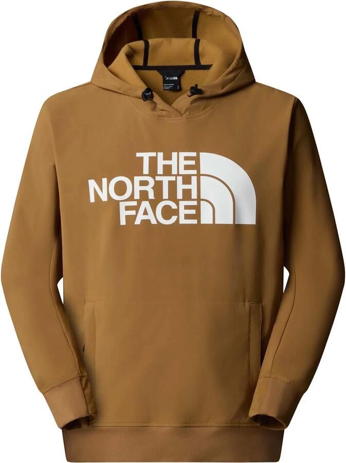 The north face Tekno Logo Hoodie