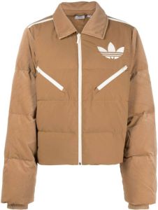 Adidas velvet-effect puffer jacket Bruin