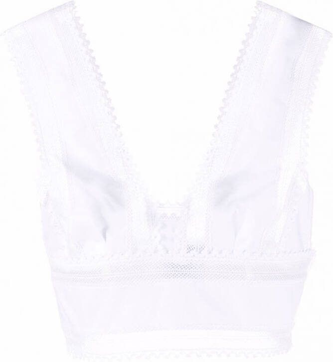 Alberta Ferretti Cropped top Wit