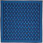 Alexander McQueen Zijden sjaal Blauw - Thumbnail 1