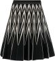 Alexander McQueen Plooirok met zigzagpatroon Zwart - Thumbnail 1