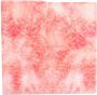 Alexander McQueen Sjaal met abstracte print Roze - Thumbnail 1