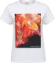 Alexander McQueen T-shirt met print Wit - Thumbnail 1
