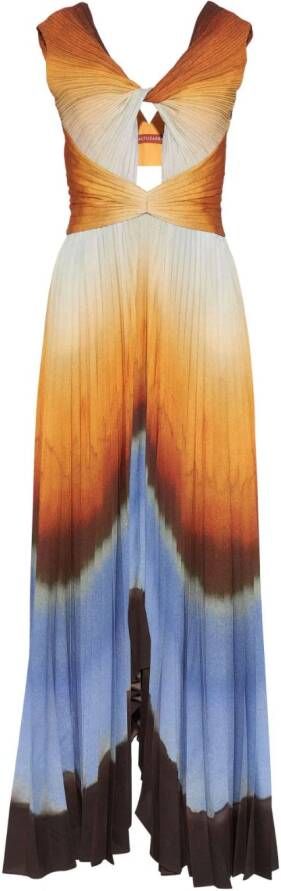 Altuzarra Maxi-jurk met print Beige