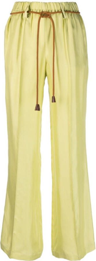 Alysi Geplooide shorts Groen