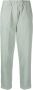 Alysi Katoenen straight broek Groen - Thumbnail 1