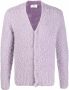 AMI Paris Vest met V-hals Paars - Thumbnail 1