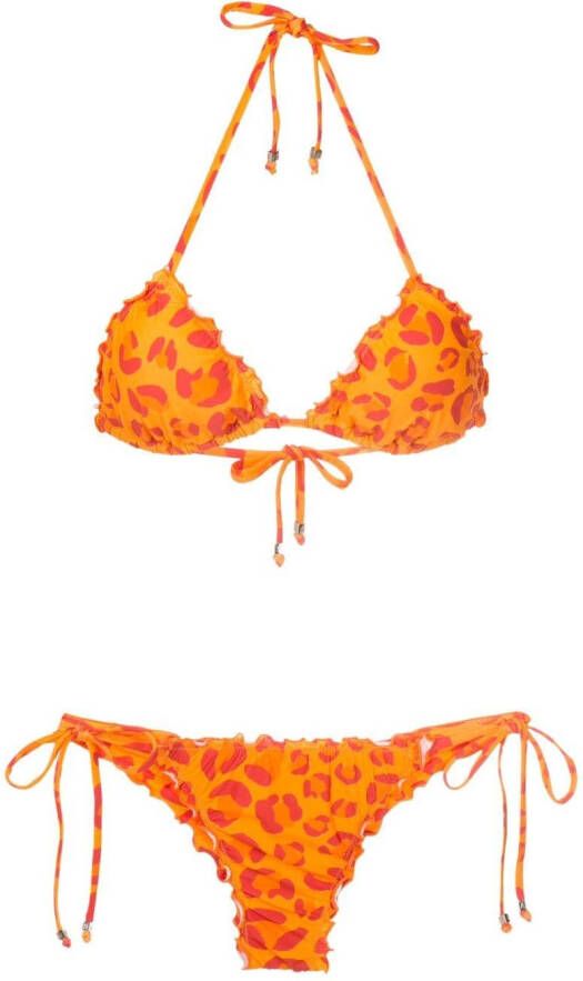 Amir Slama Bikini met luipaardprint Oranje