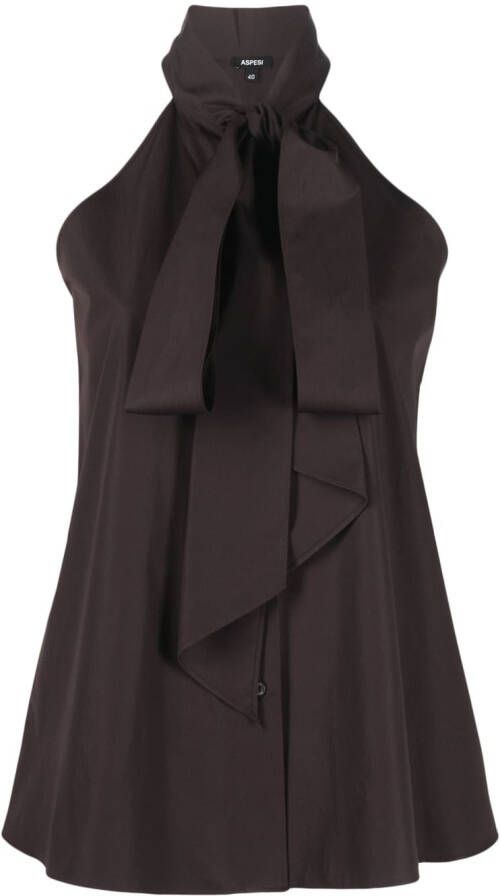 ASPESI Blouse met strik Bruin