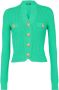 Balmain Ribgebreid vest Groen - Thumbnail 1