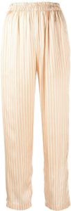 Bambah Straight broek Oranje