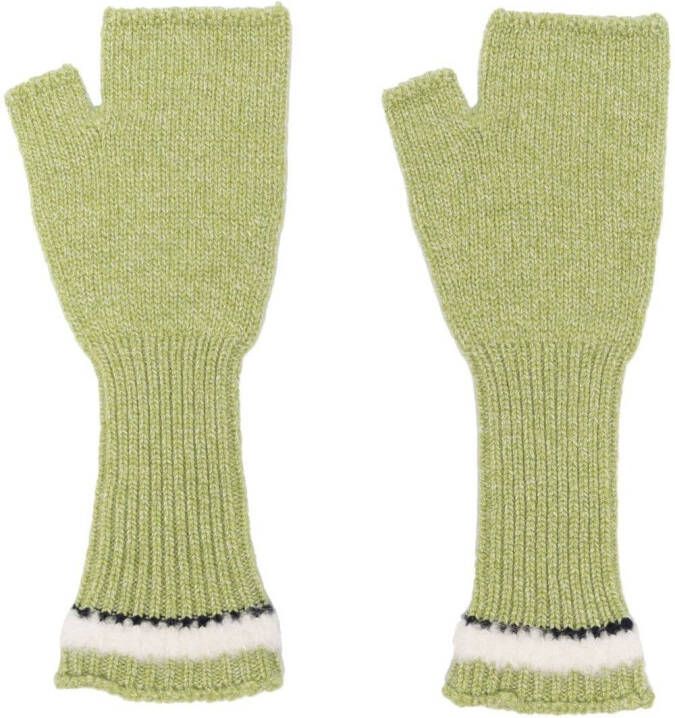 Barrie Vingerloze handschoenen Groen