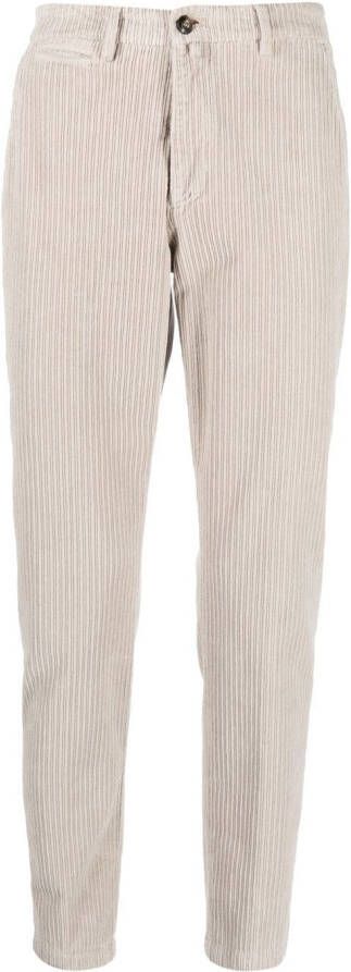 Briglia 1949 Ribfluwelen broek Beige