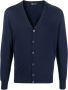 Colombo Gebreid vest Blauw - Thumbnail 1