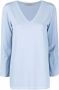 D.Exterior Trui met V-hals Blauw - Thumbnail 1