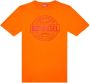 Diesel Katoenen T-shirt Oranje - Thumbnail 1